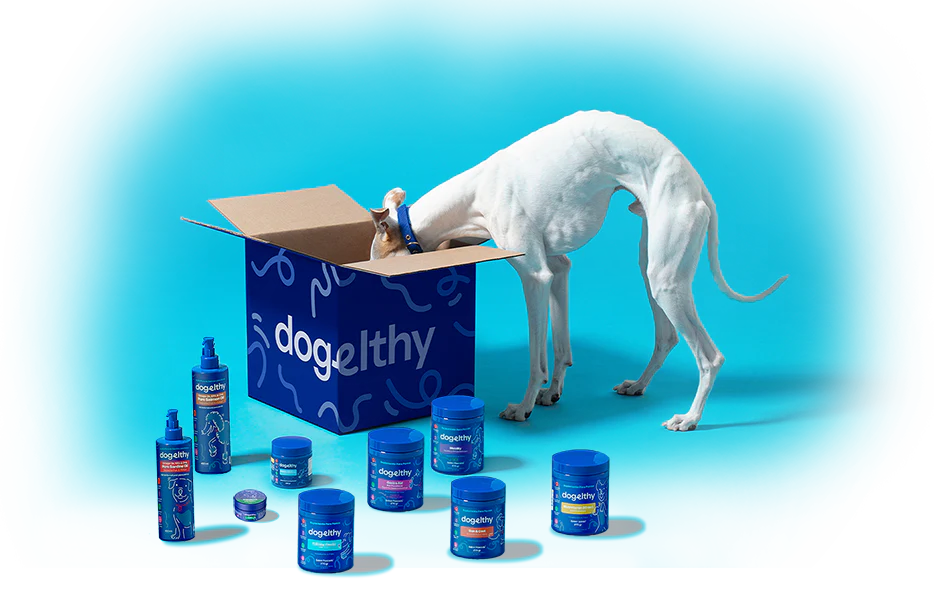 Welcome to Our Store