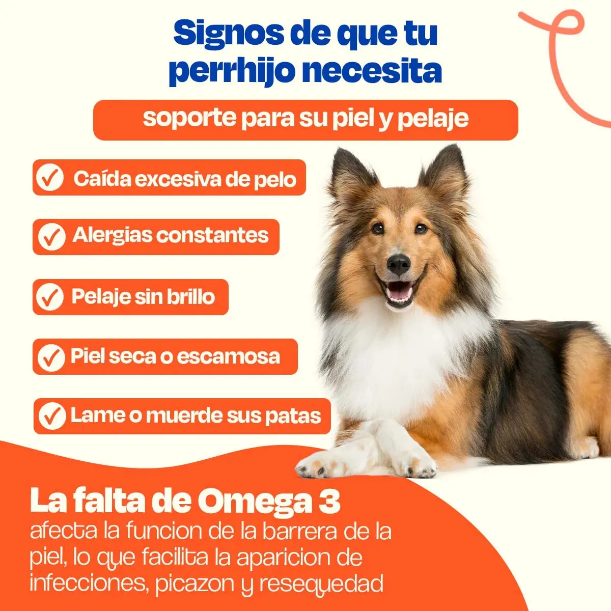 Aceite de Salmón para Perros - Pure Salmon Oil - Image 3