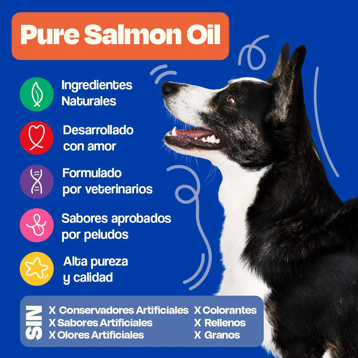 Aceite de Salmón para Perros - Pure Salmon Oil - Image 21