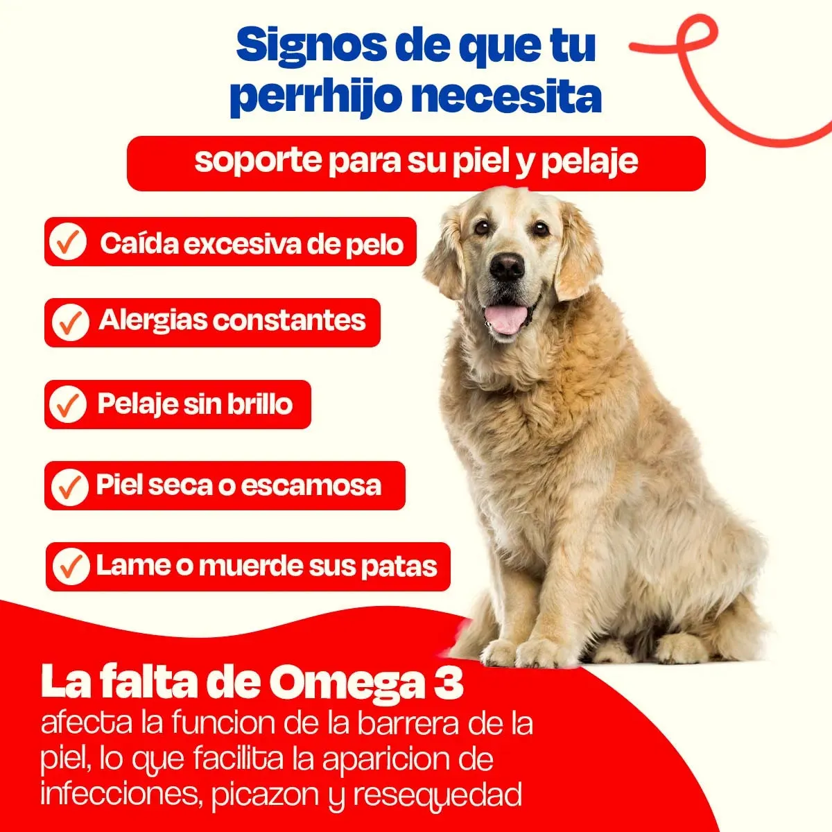 Aceite de Sardina para Perro - Pure Sardine Oil - Image 3