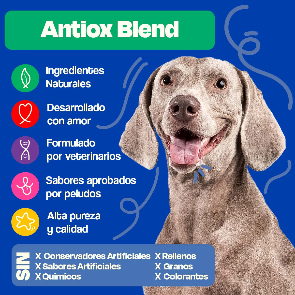 Antioxidante para Perros - Antiox Blend - Image 10