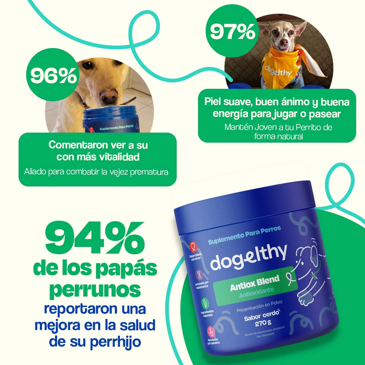 Antioxidante para Perros - Antiox Blend - Image 5