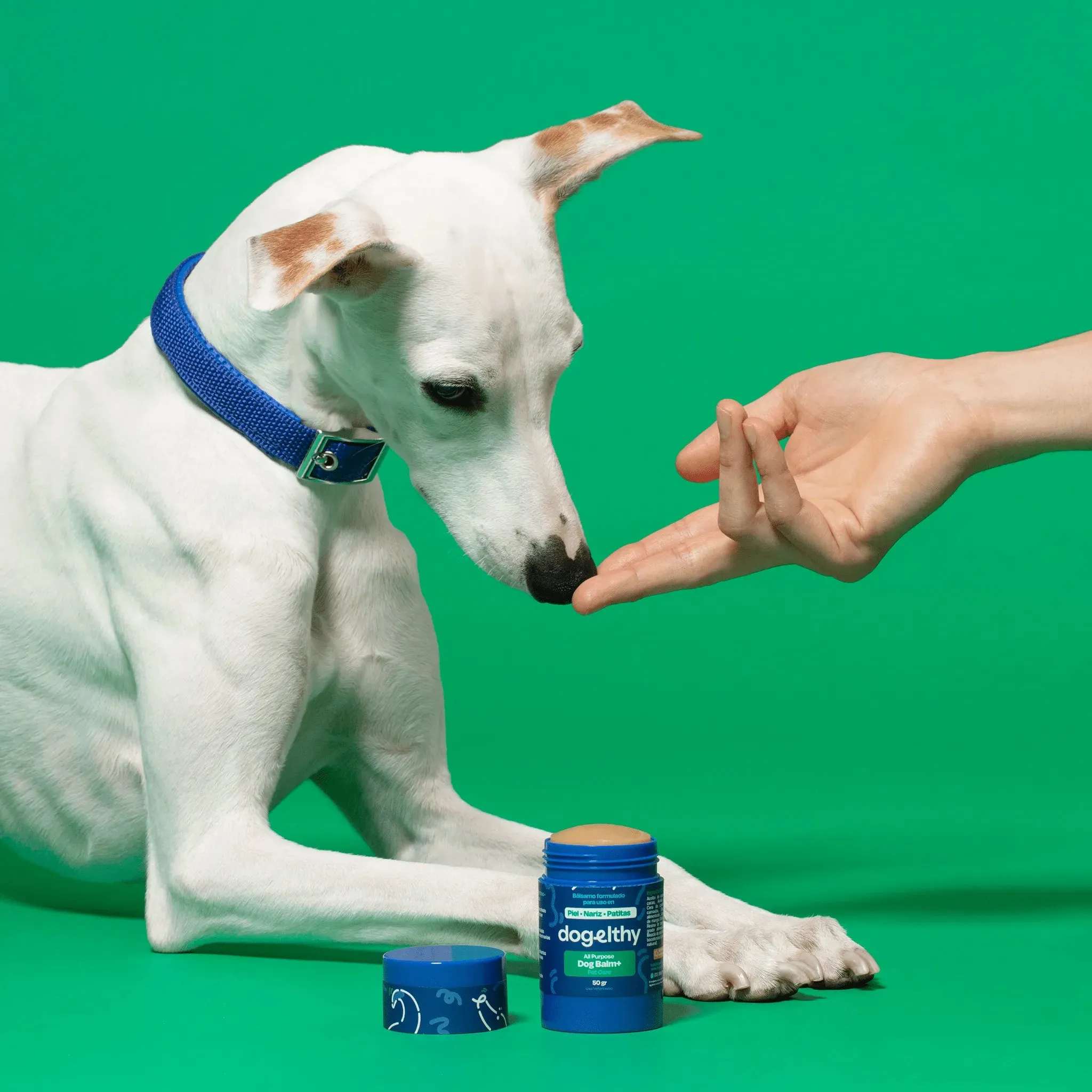 Bálsamo para Nariz de Perro - Dog Balm - Image 10