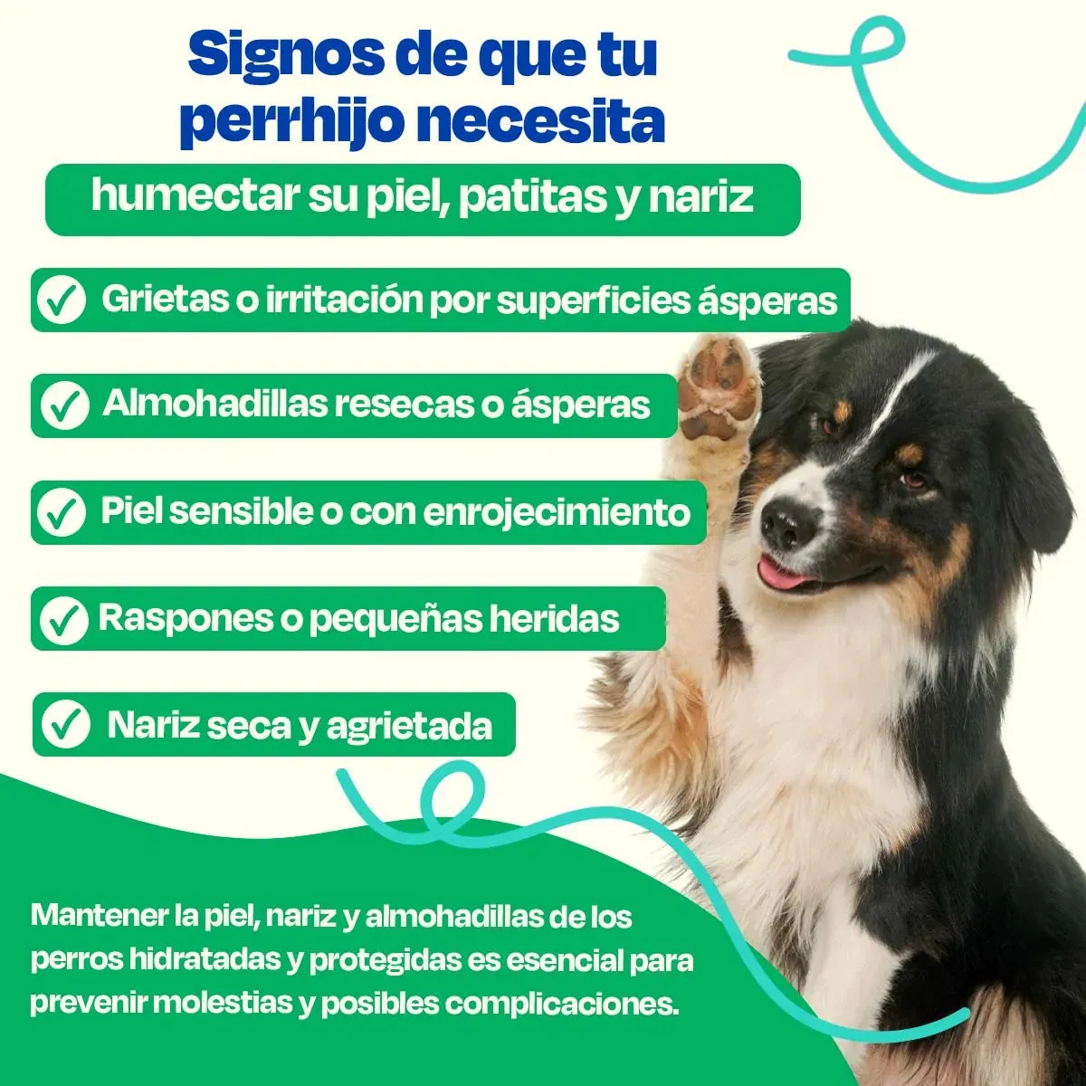 Bálsamo para Nariz de Perro - Dog Balm - Image 3