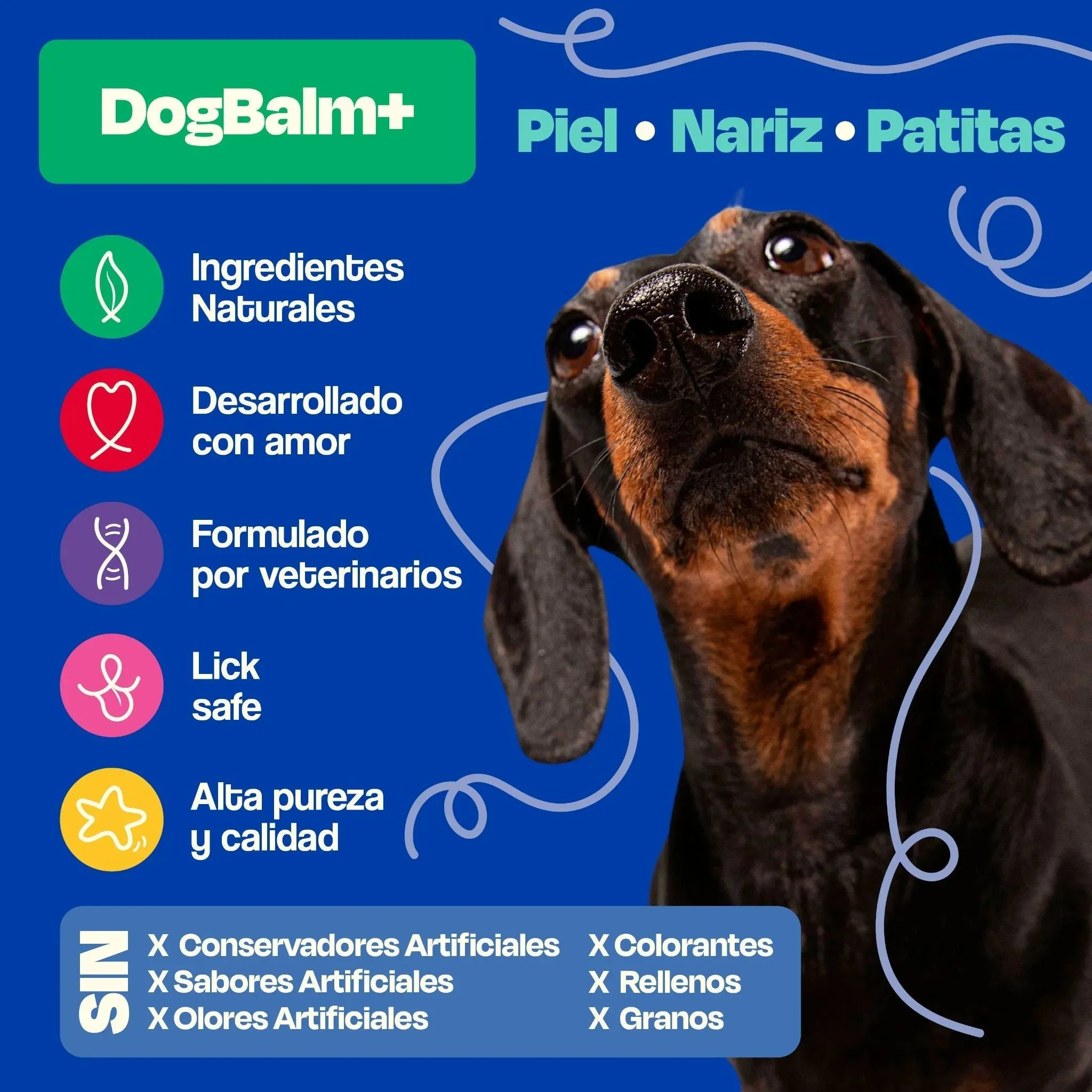 Bálsamo para Nariz de Perro - Dog Balm - Image 9