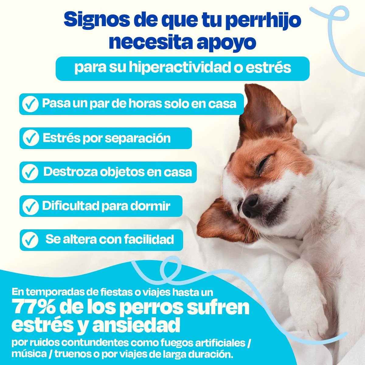 Suplemento Calmante para Perros - Calming Powder - Image 11