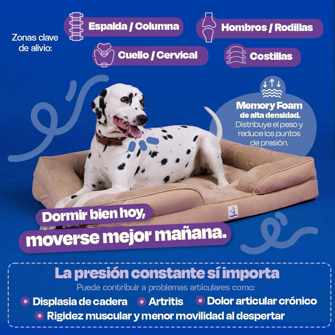 Cama Ortopédica para perros de Memory Foam para la Salud Articular - Image 10