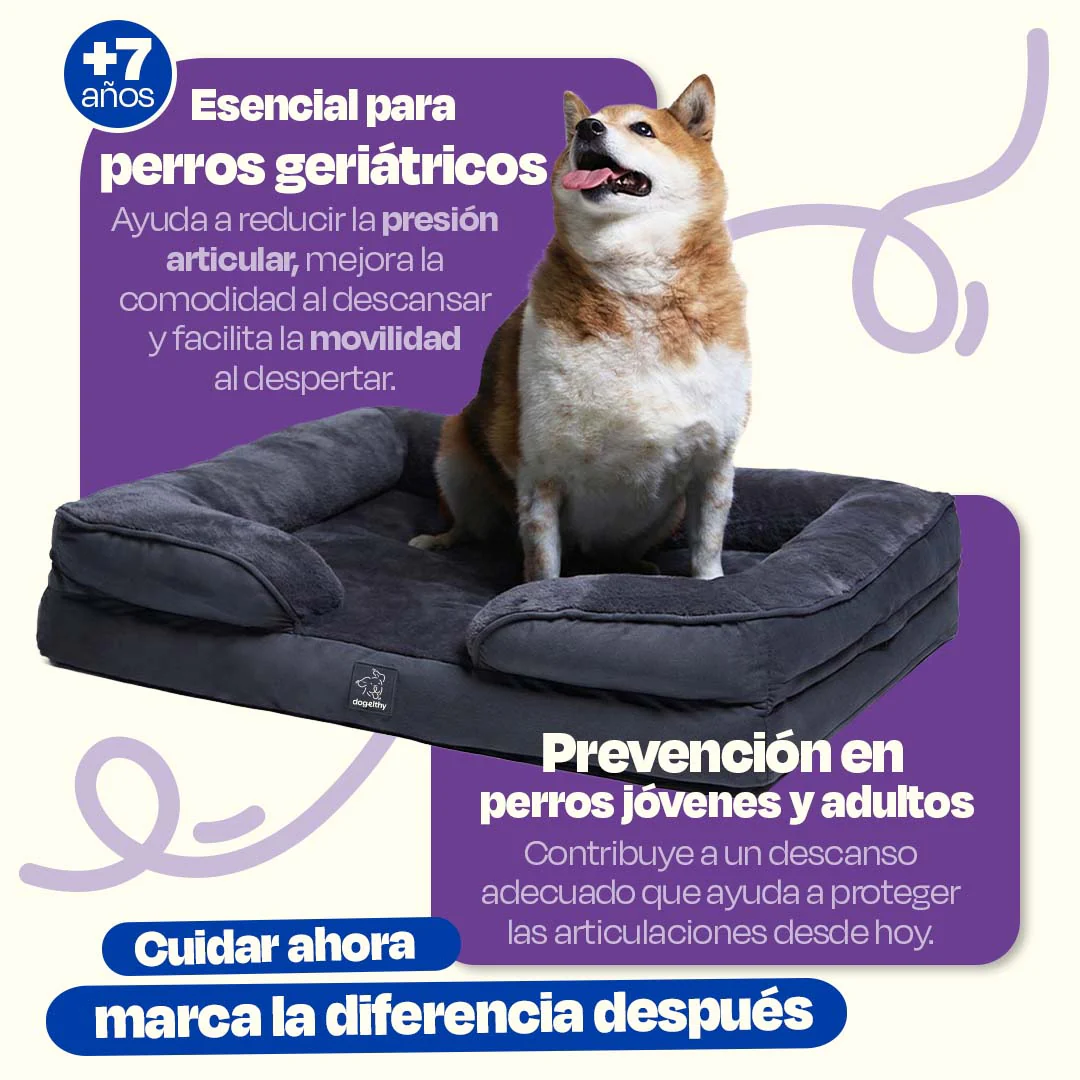 Cama Ortopédica para perros de Memory Foam para la Salud Articular - Image 11