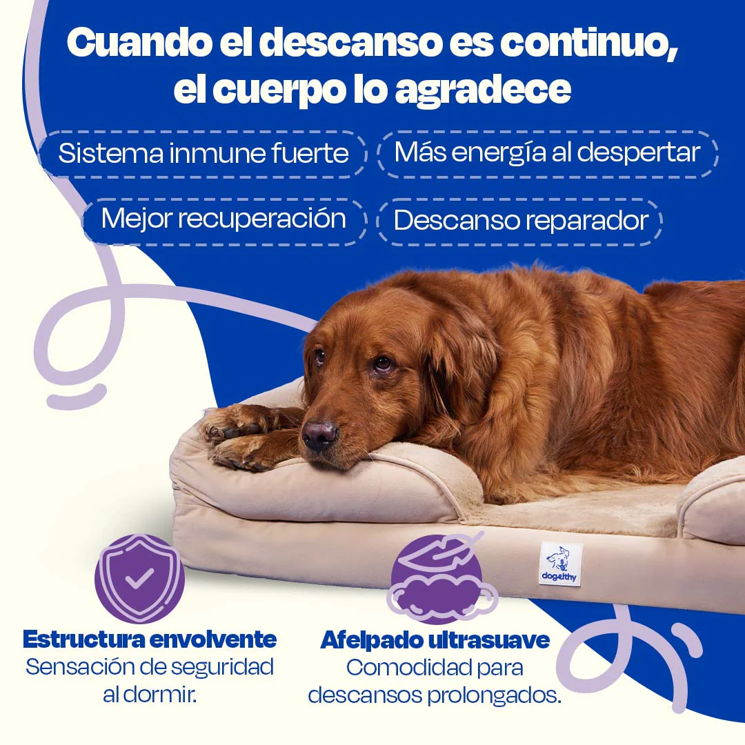 Cama Ortopédica para perros de Memory Foam para la Salud Articular - Image 15