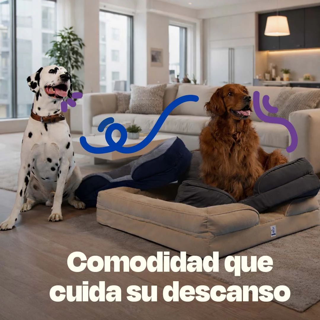 Cama Ortopédica para perros de Memory Foam para la Salud Articular - Image 16