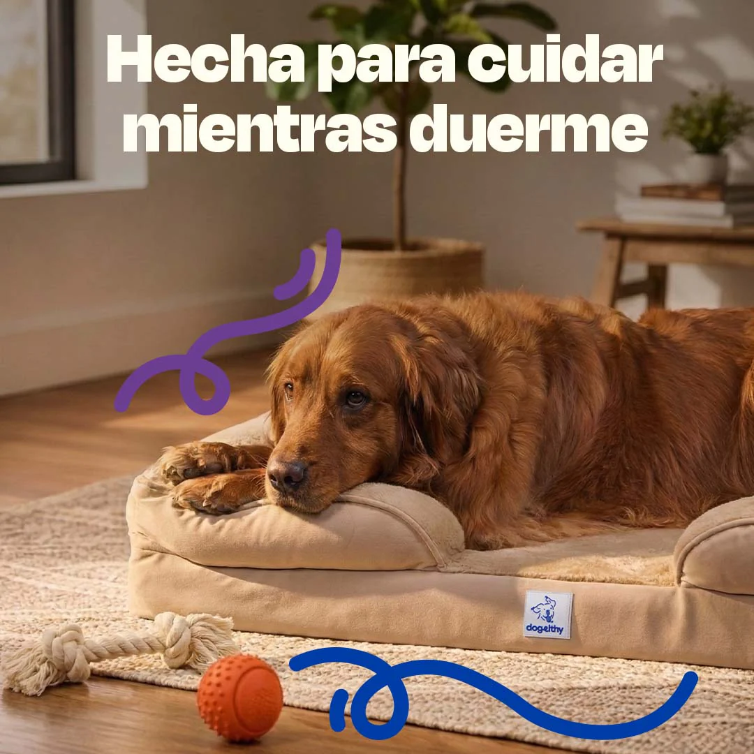 Cama Ortopédica para perros de Memory Foam para la Salud Articular - Image 17