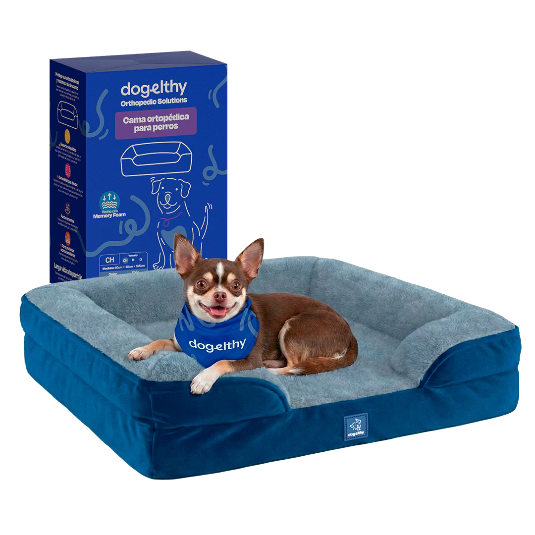 Cama Ortopédica para perros de Memory Foam para la Salud Articular - Image 3
