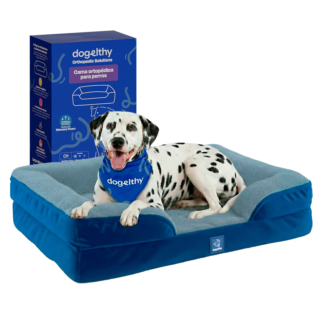 Cama Ortopédica para perros de Memory Foam para la Salud Articular - Image 9