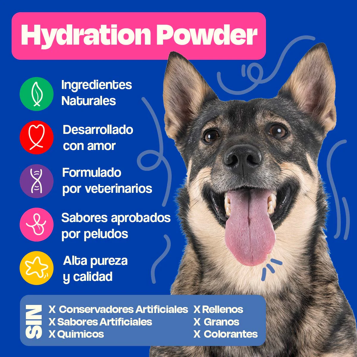 Electrolitos para Perros (Rinde 4.5 Lts) - Hydration Powder - Image 9