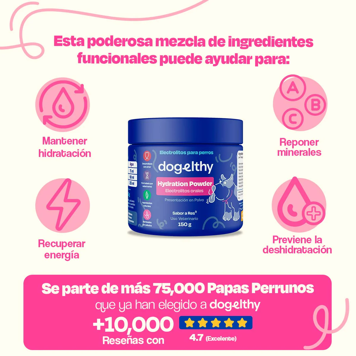 Electrolitos + Bebedero portátil para Perros - Image 6