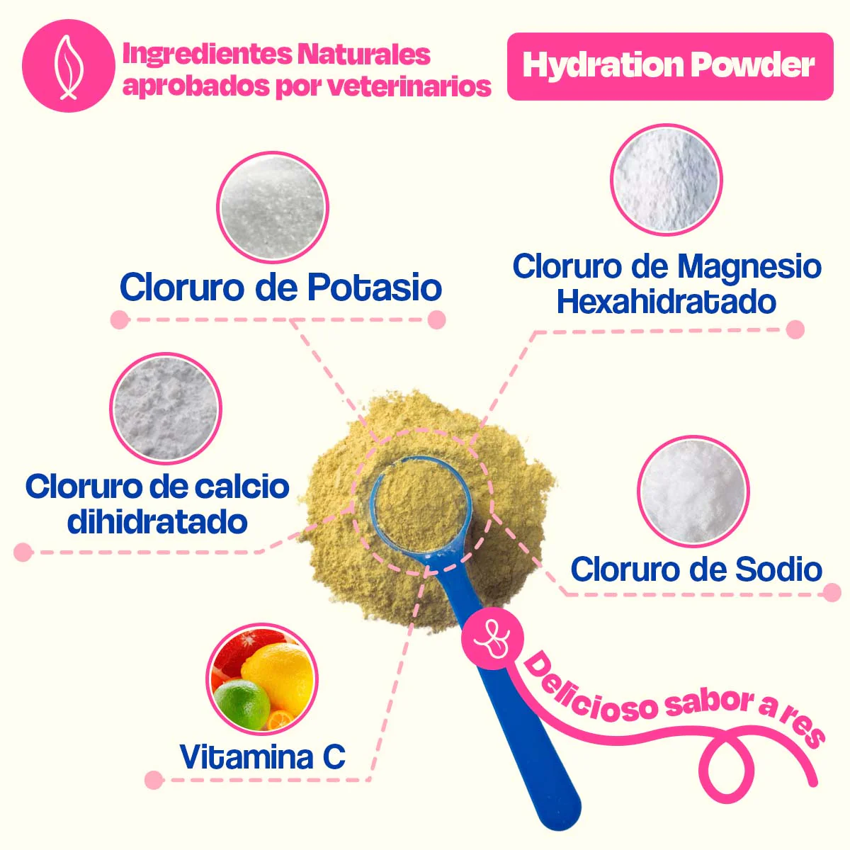 Electrolitos para Perros (Rinde 4.5 Lts) - Hydration Powder - Image 3