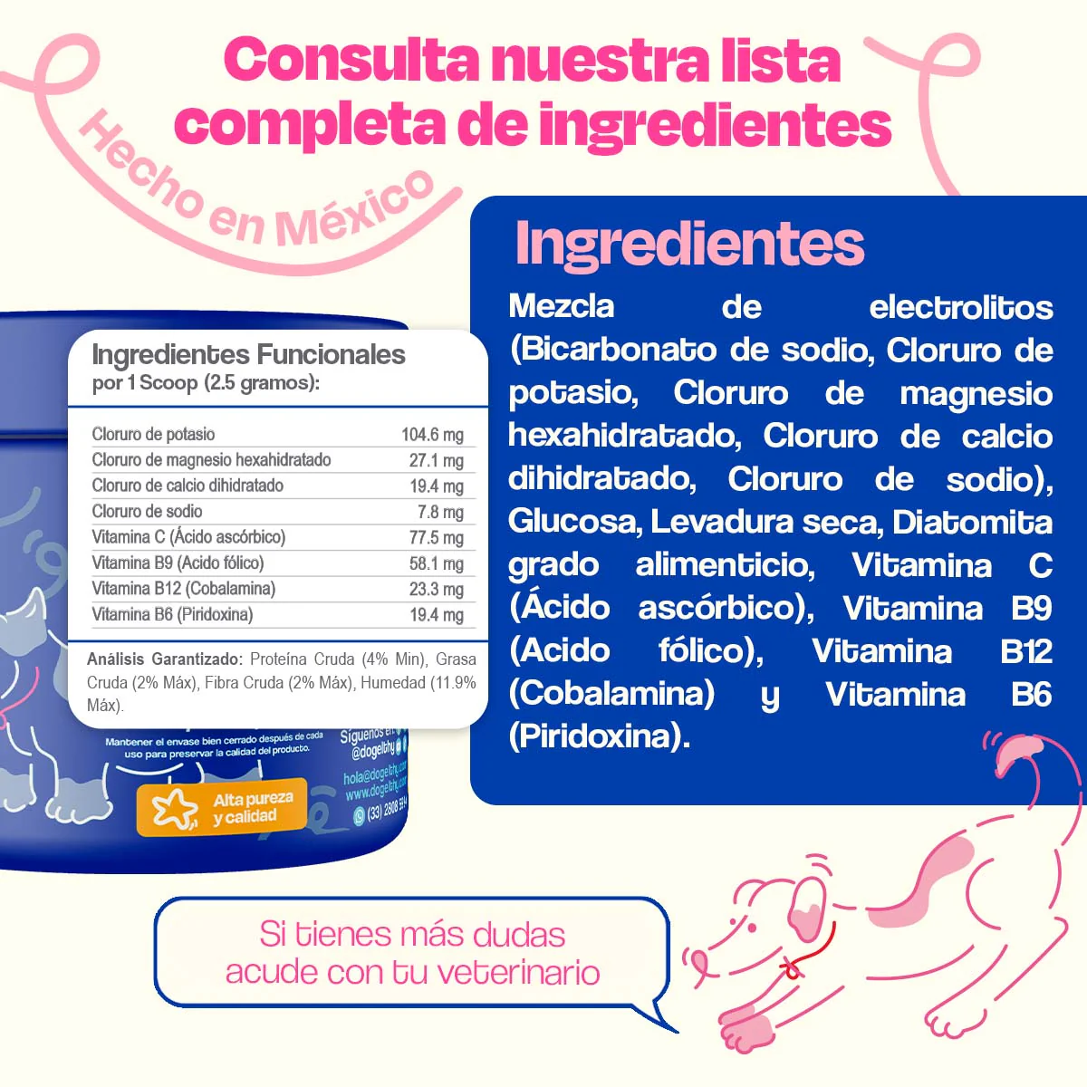 Electrolitos + Bebedero portátil para Perros - Image 9