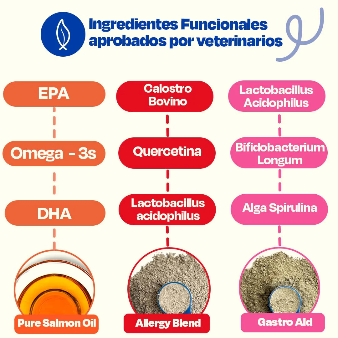 Full Allergy Kit - Image 3