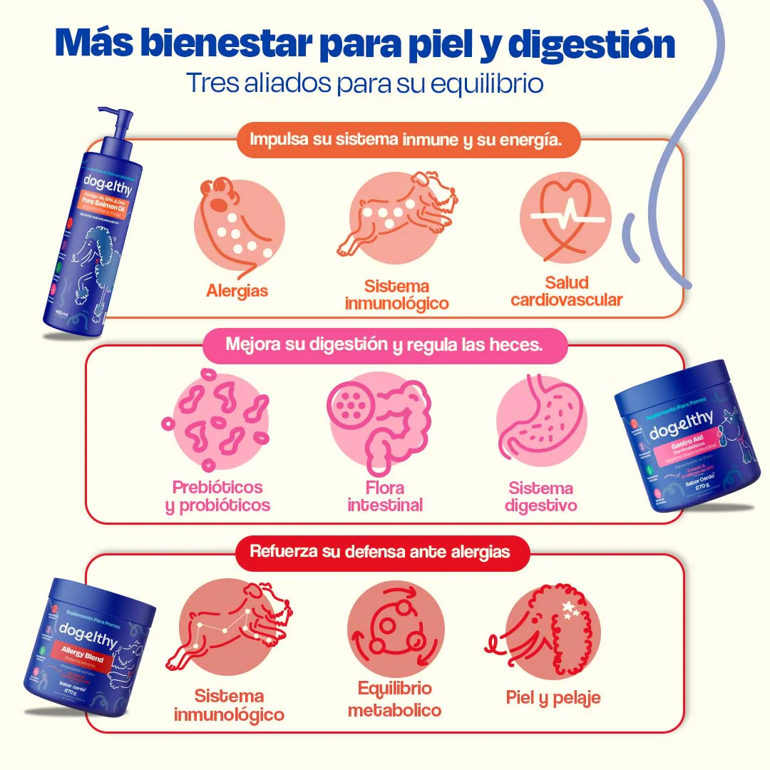 Full Allergy Kit - Image 4