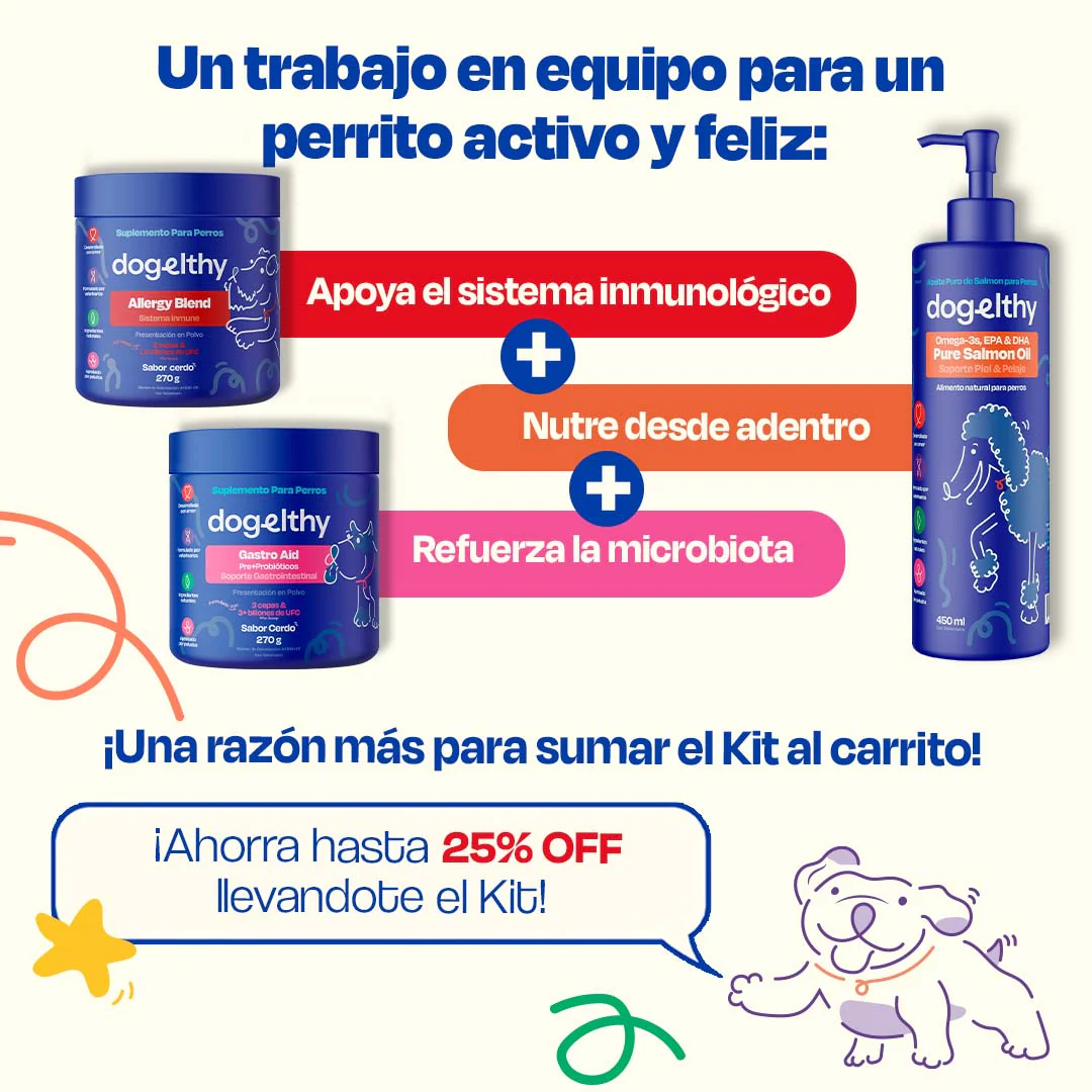 Full Allergy Kit - Image 5