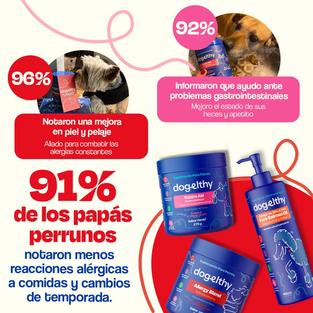 Full Allergy Kit - Image 6