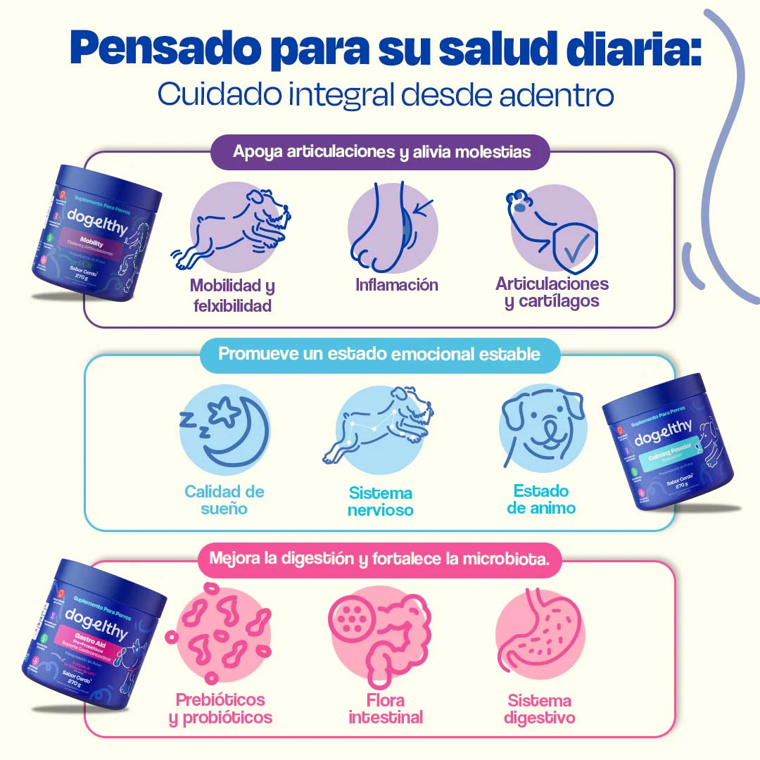 Kit Balance para Perro - Balance Kit - Image 12