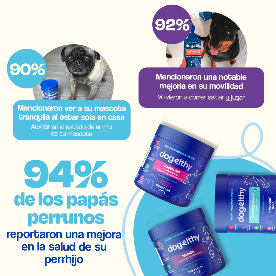 Kit Balance para Perro - Balance Kit - Image 13