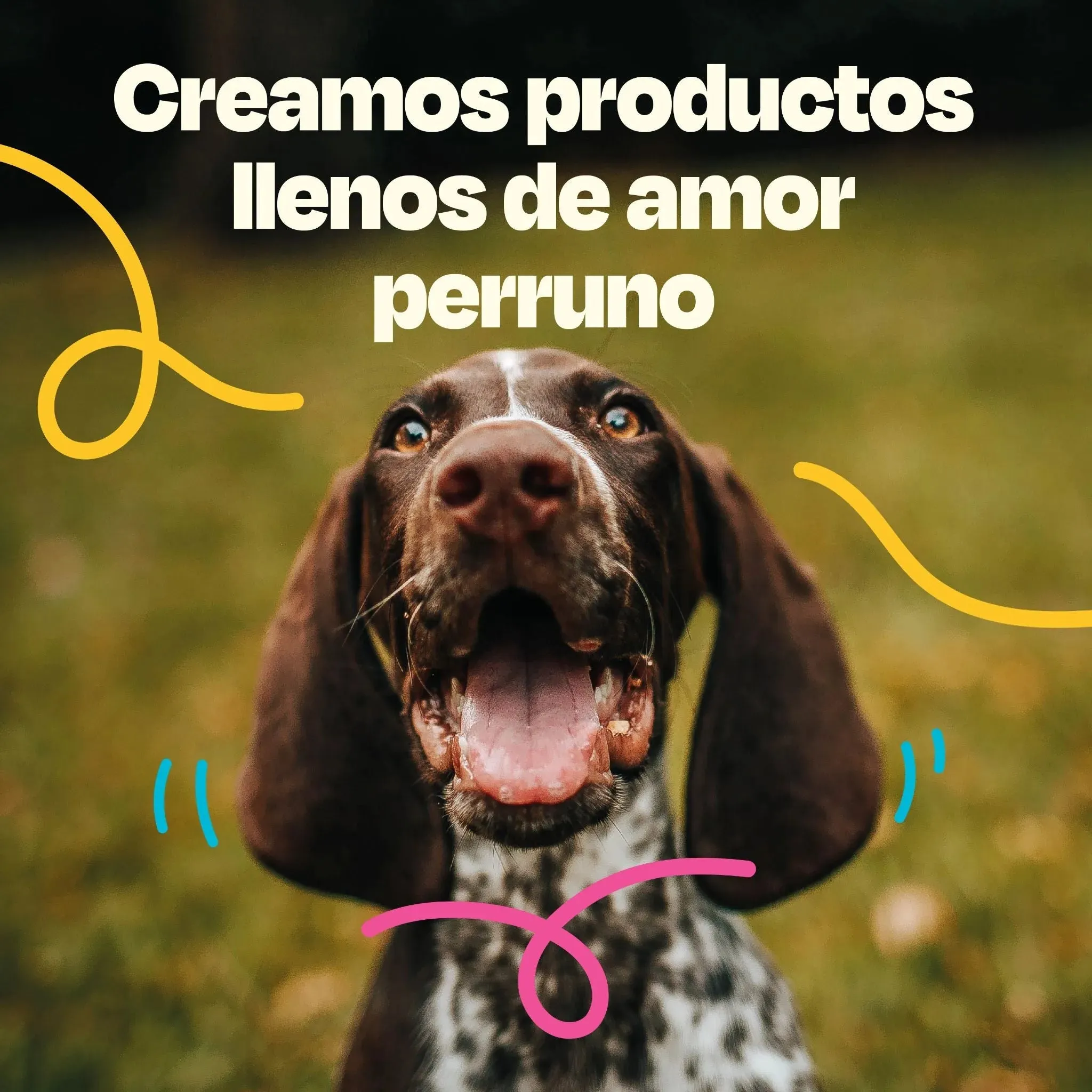 Kit Balance para Perro - Balance Kit - Image 16