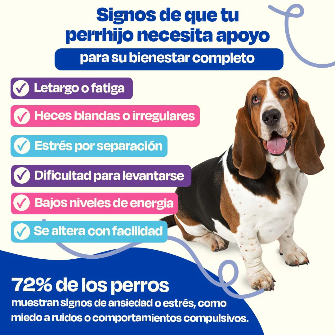 Kit Balance para Perro - Balance Kit - Image 3