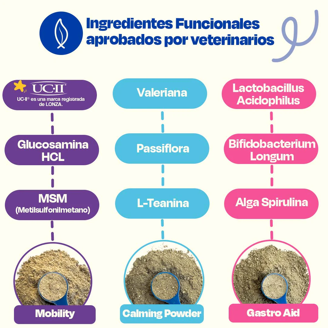 Kit Balance para Perro - Balance Kit - Image 4