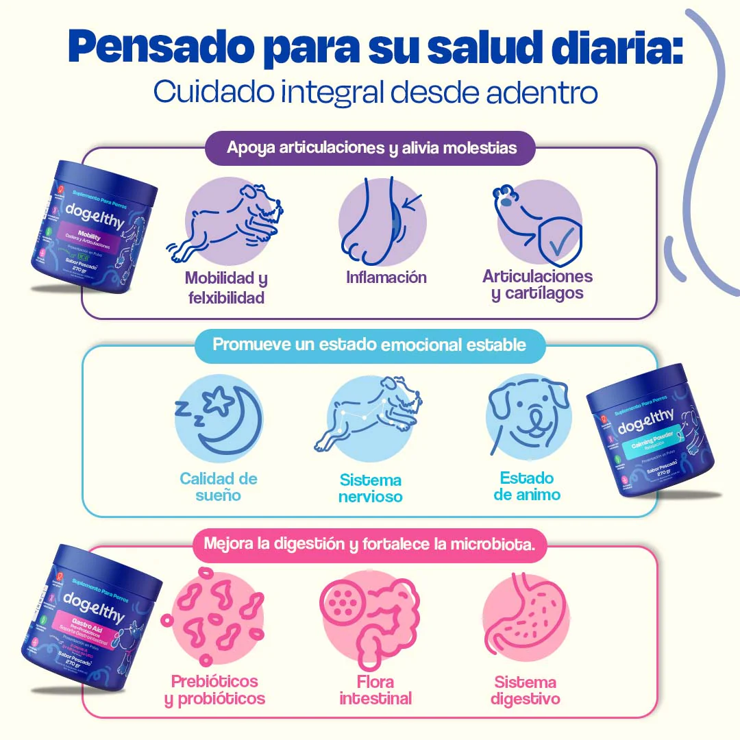 Kit Balance para Perro - Balance Kit - Image 5