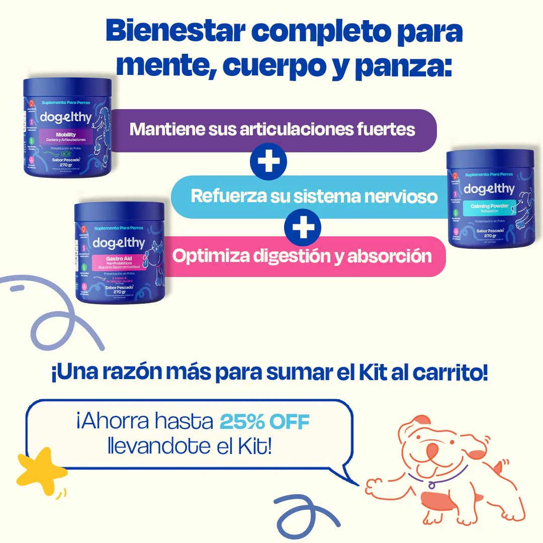 Kit Balance para Perro - Balance Kit - Image 7