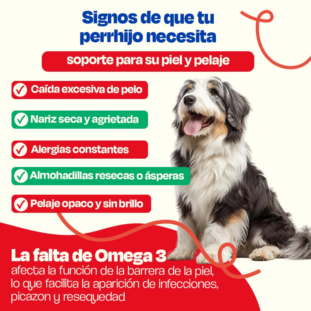 Kit de Omega 3 de Sardina para Perros - Sardine Skin Kit - Image 3