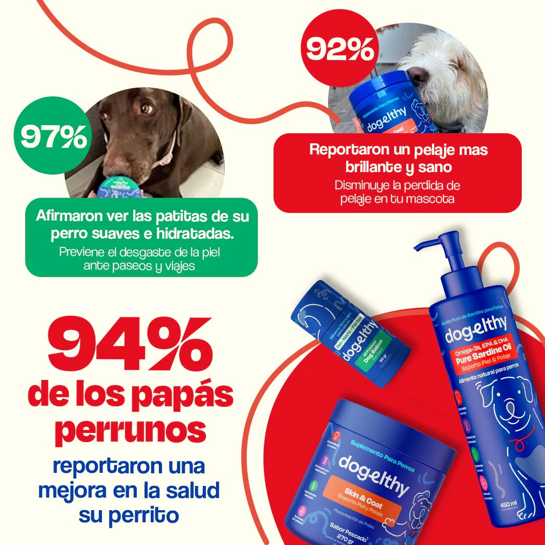 Kit de Omega 3 de Sardina para Perros - Sardine Skin Kit - Image 6