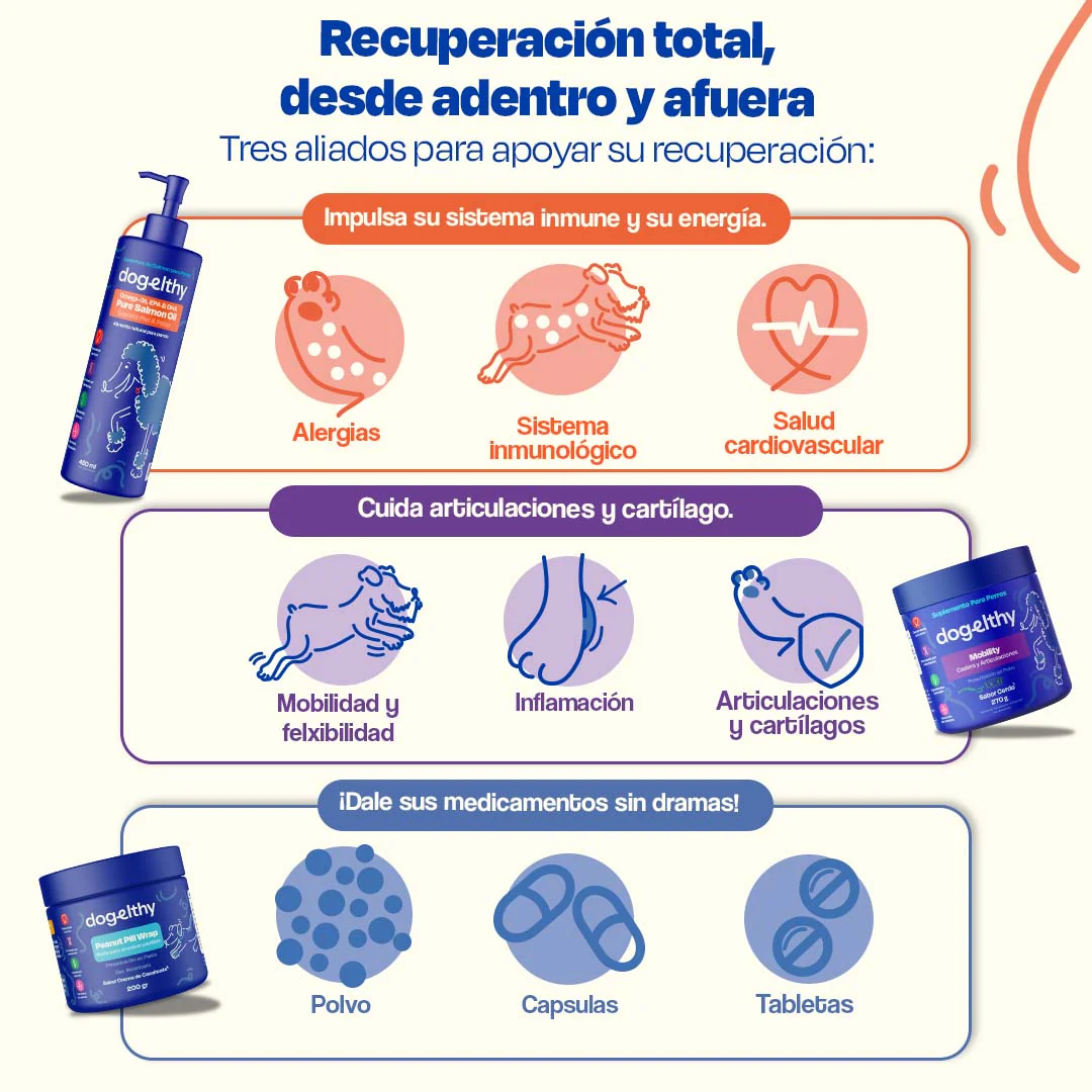 Kit de Recuperación para Perros - Recovery Kit - Image 11