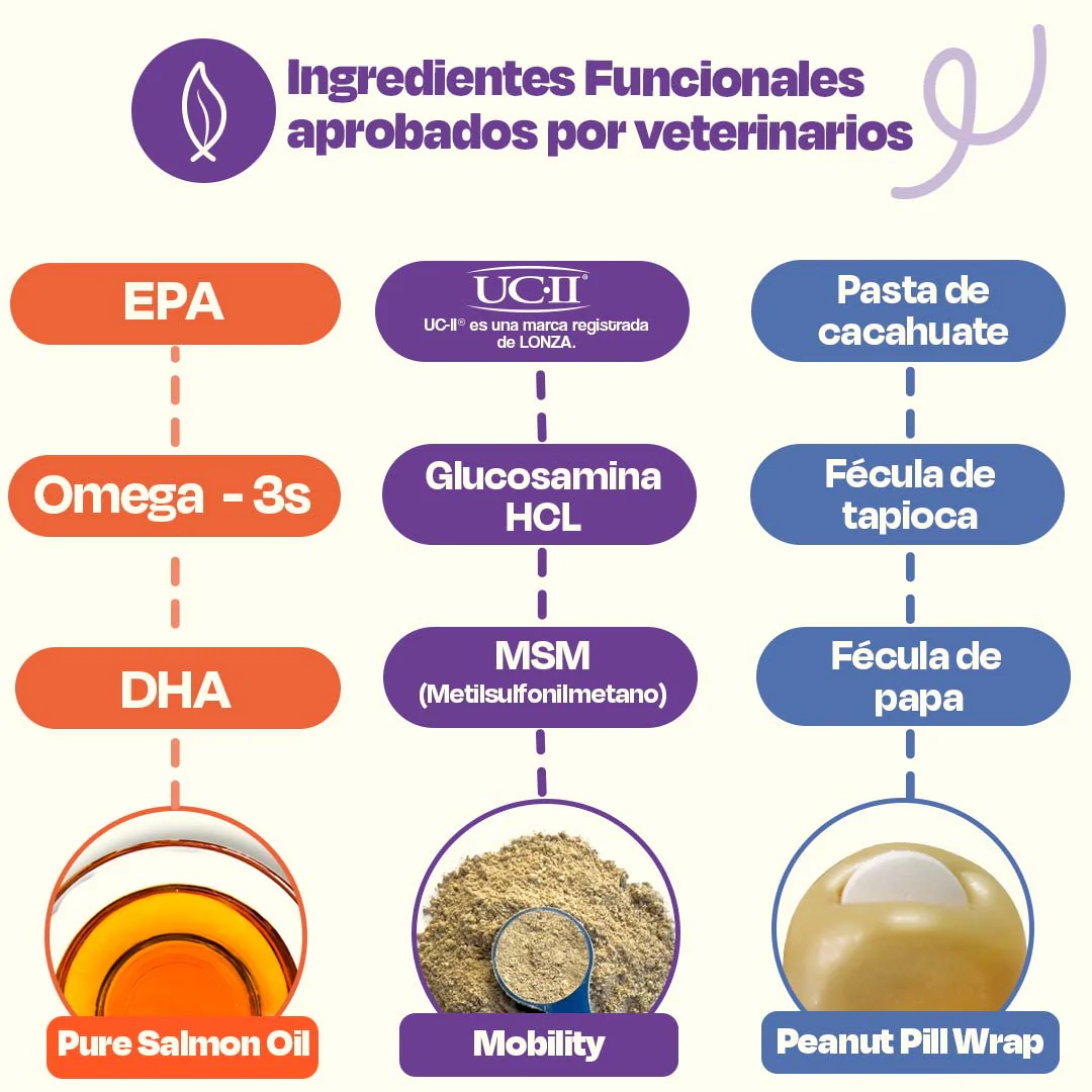 Kit de Recuperación para Perros - Recovery Kit - Image 12