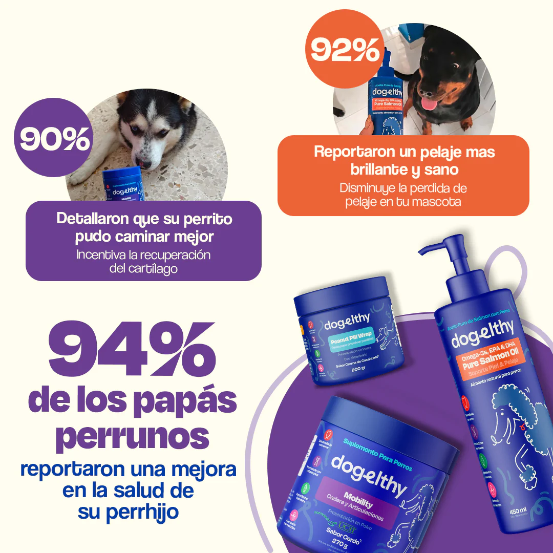 Kit de Recuperación para Perros - Recovery Kit - Image 13