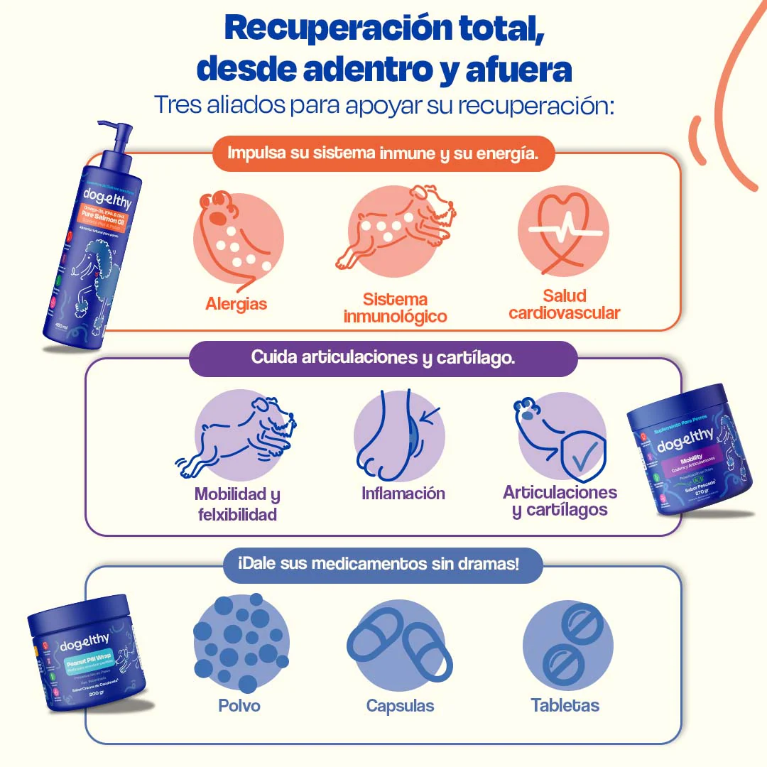 Kit de Recuperación para Perros - Recovery Kit - Image 4