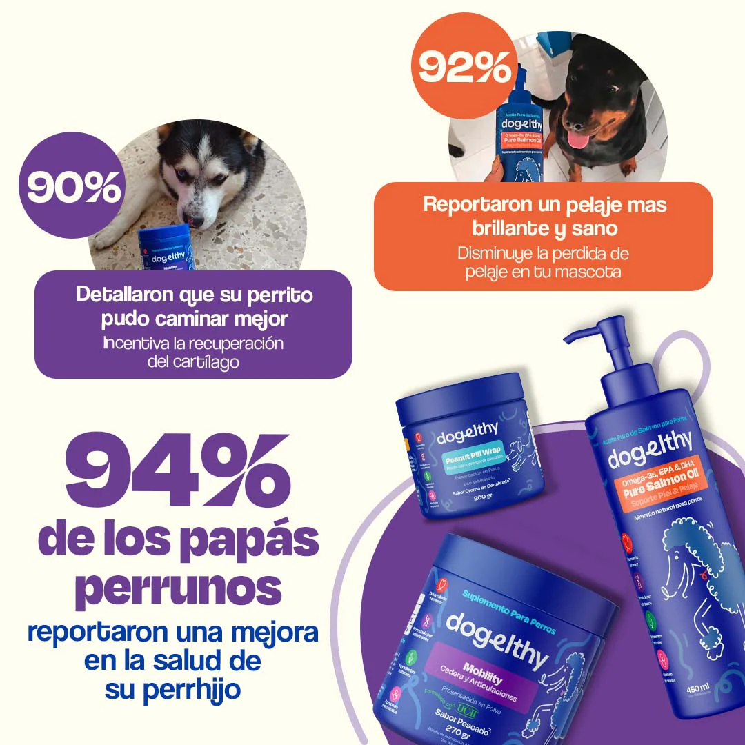 Kit de Recuperación para Perros - Recovery Kit - Image 6