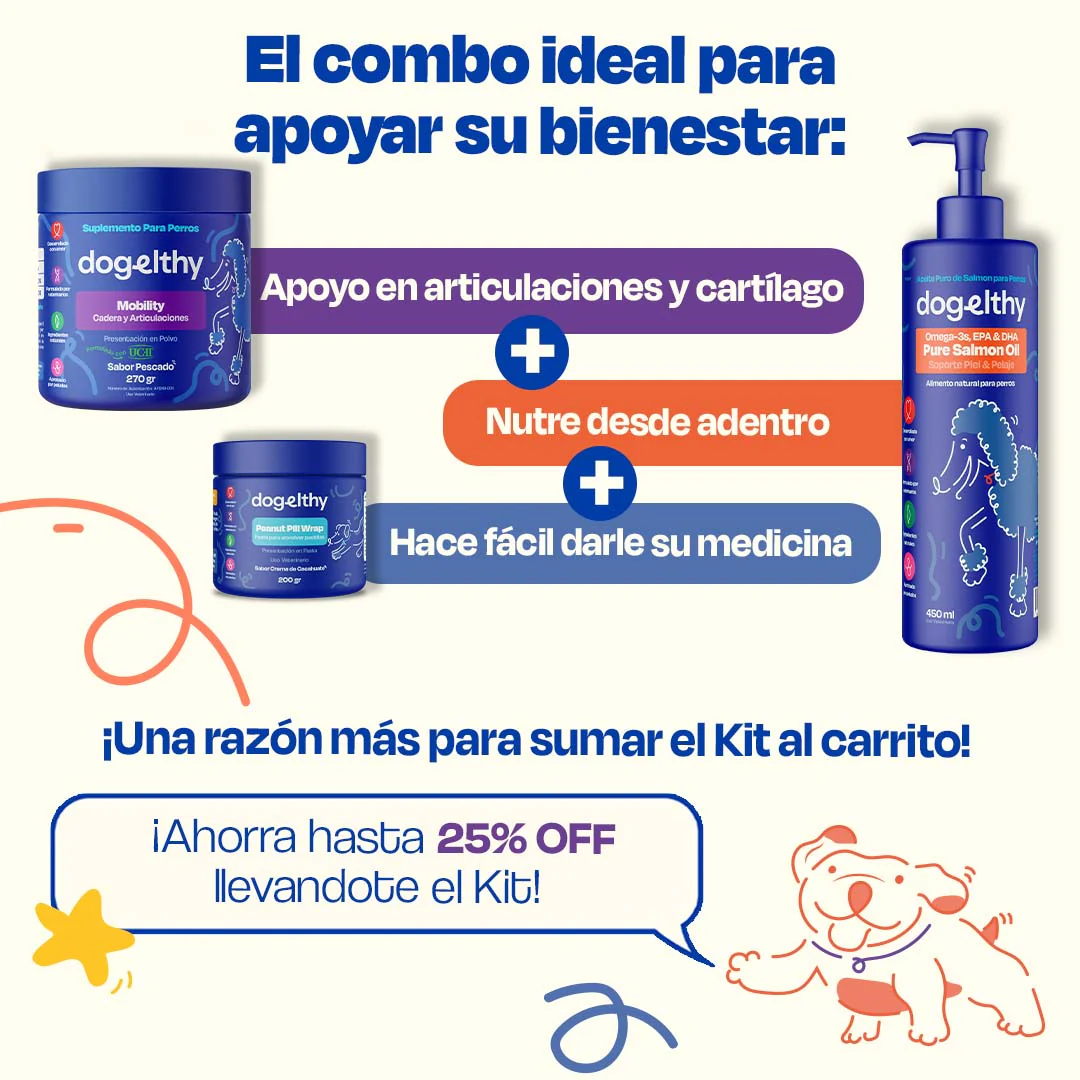 Kit de Recuperación para Perros - Recovery Kit - Image 7