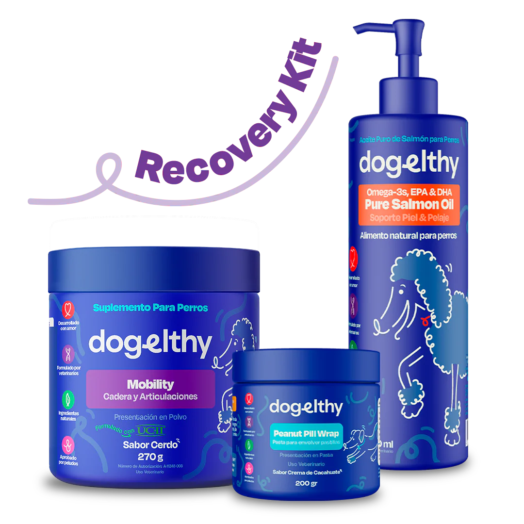 Kit de Recuperación para Perros - Recovery Kit - Image 8