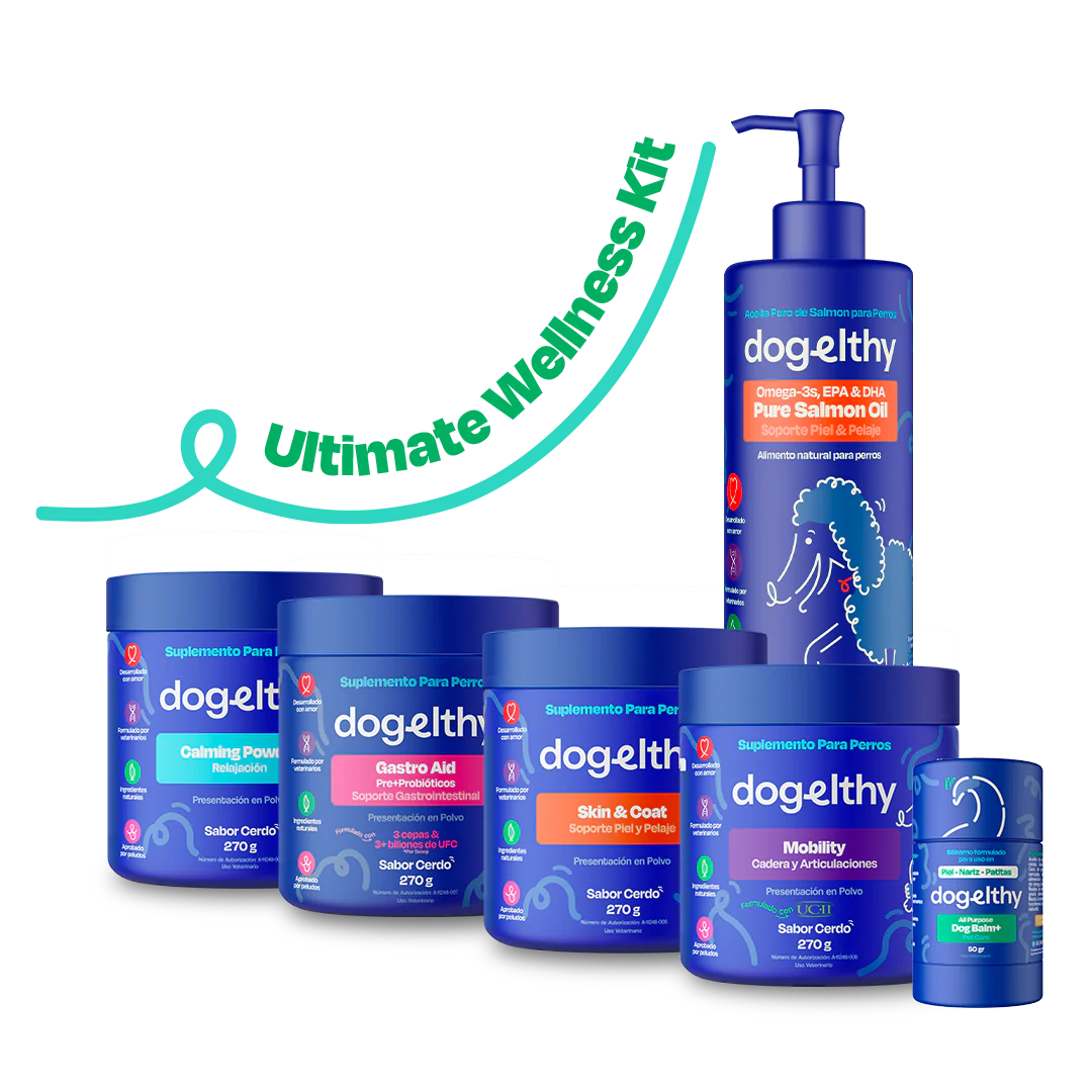 Kit del Perro Sano - Ultimate Wellness Kit - Image 10