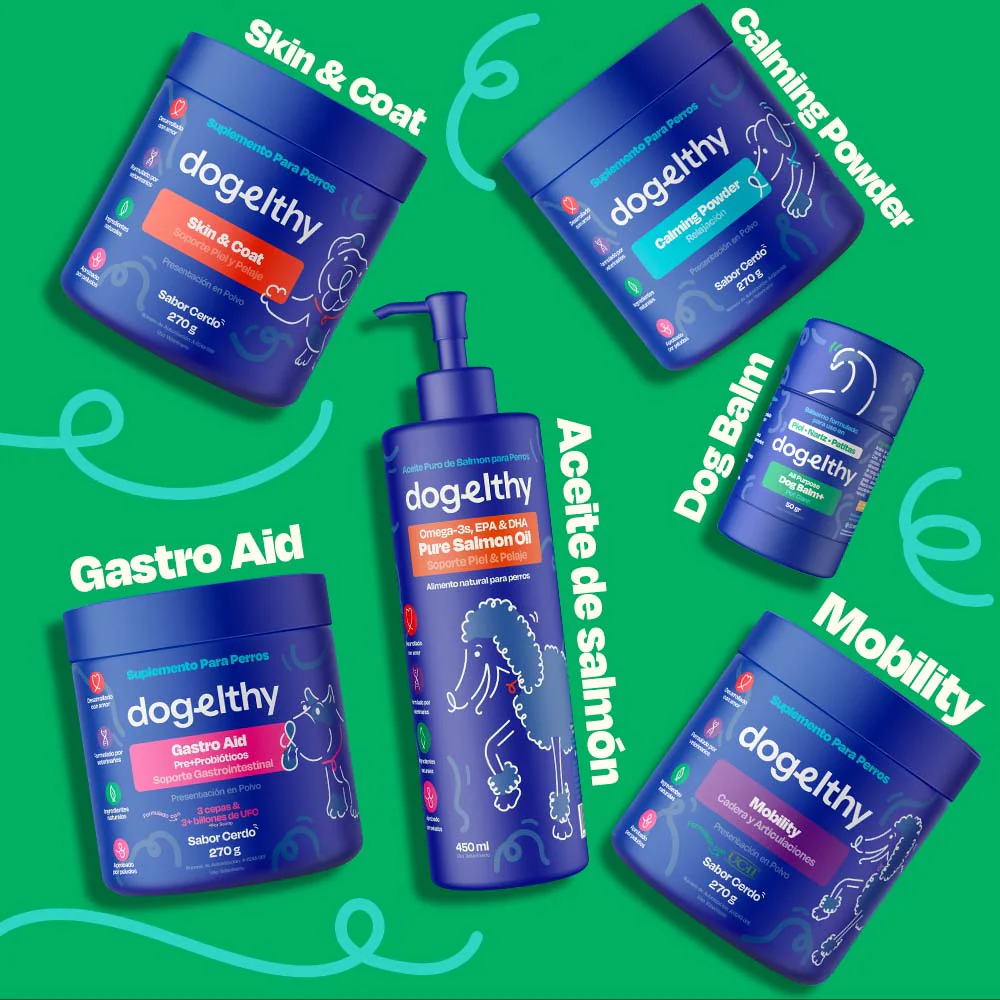 Kit del Perro Sano - Ultimate Wellness Kit - Image 11