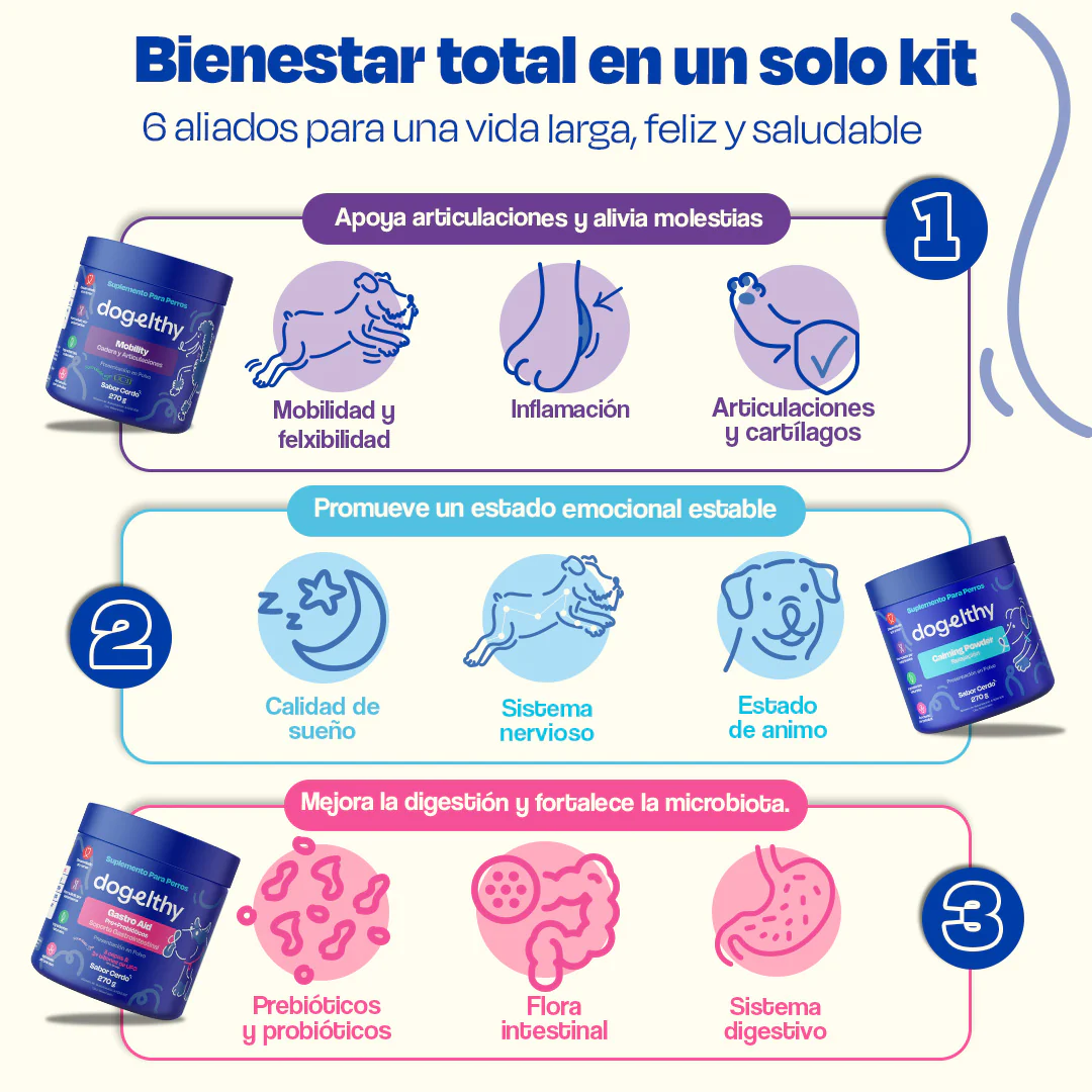 Kit del Perro Sano - Ultimate Wellness Kit - Image 13