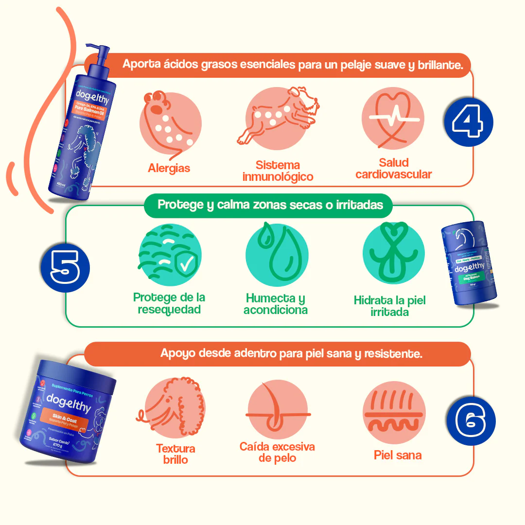 Kit del Perro Sano - Ultimate Wellness Kit - Image 14