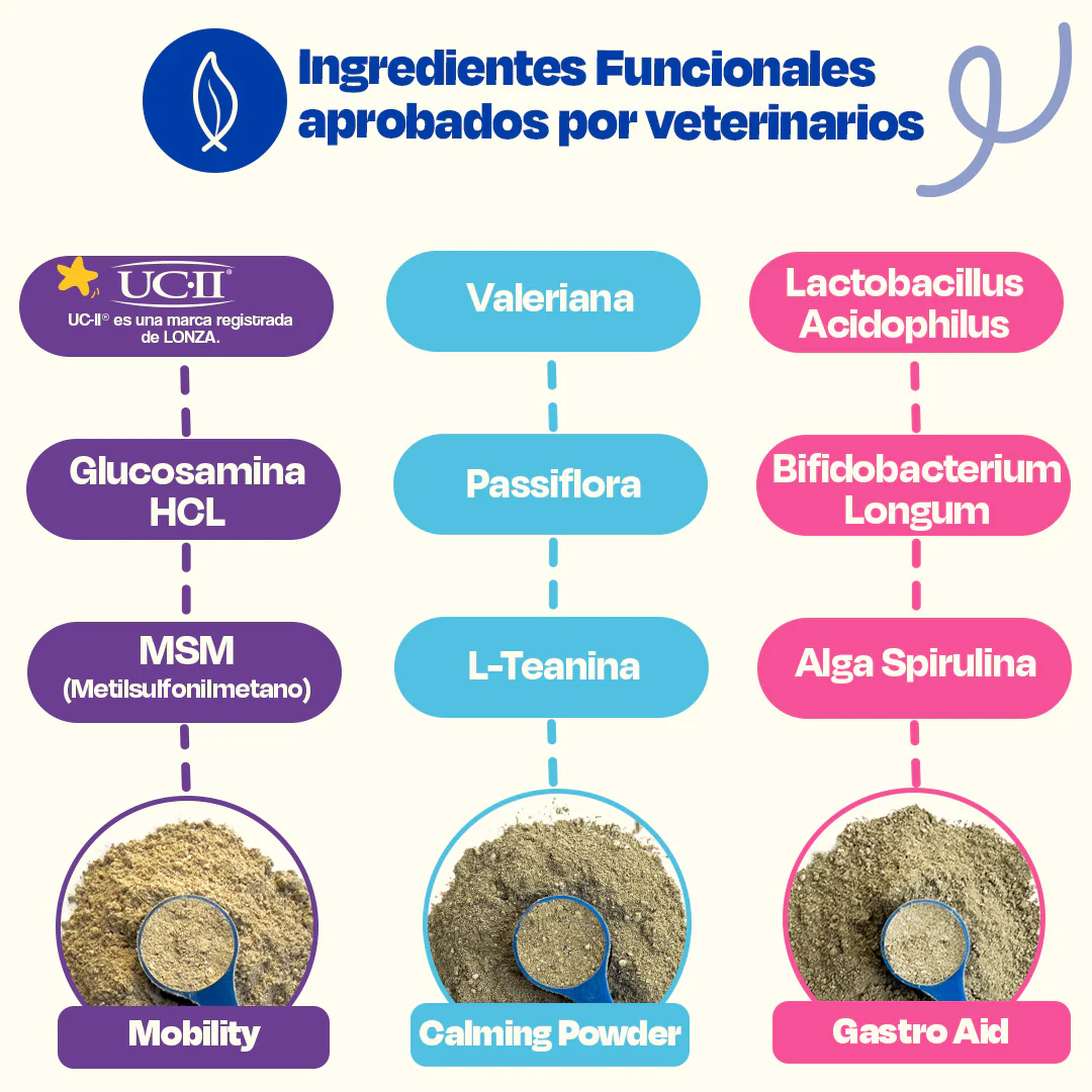 Kit del Perro Sano - Ultimate Wellness Kit - Image 16