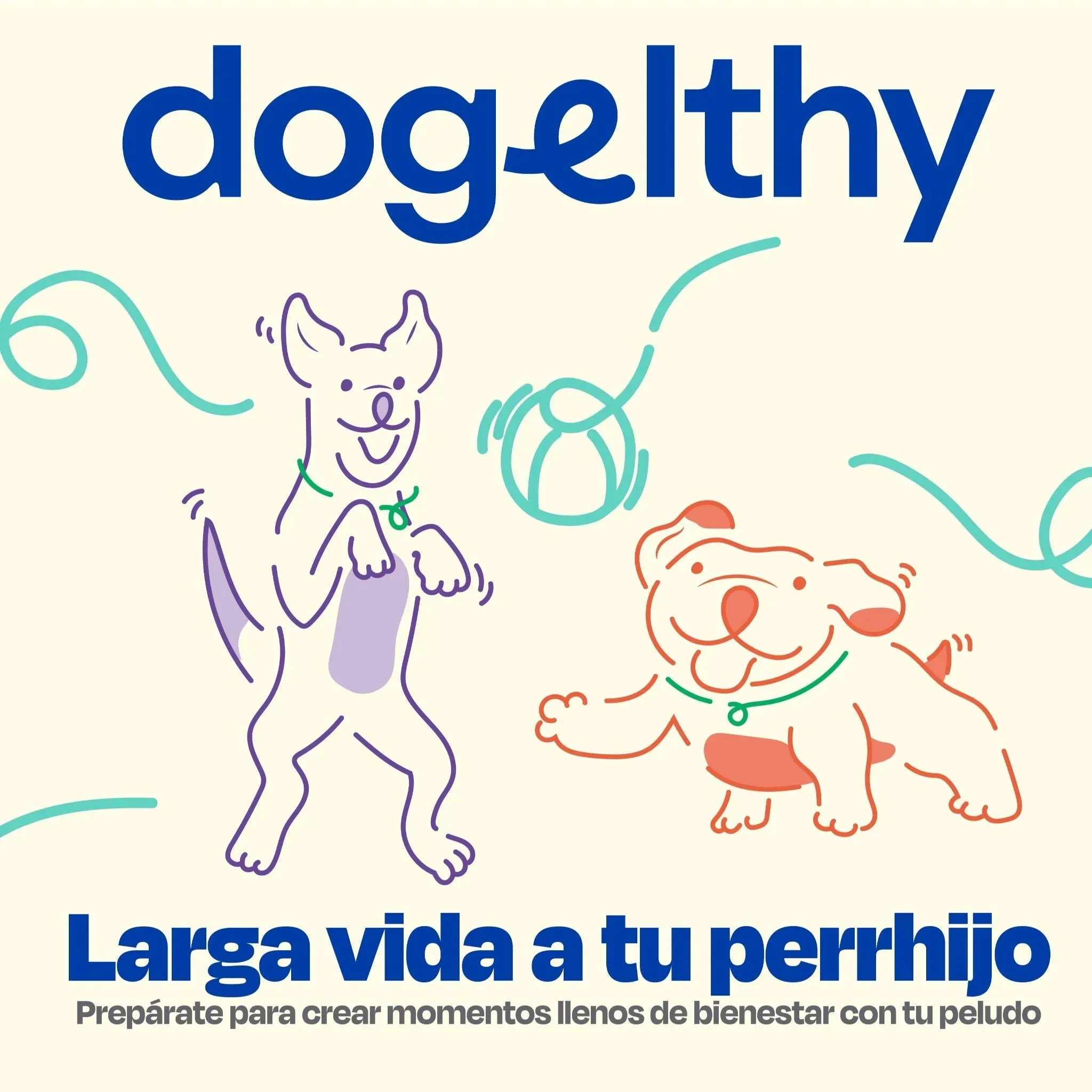 Kit del Perro Sano - Ultimate Wellness Kit - Image 20