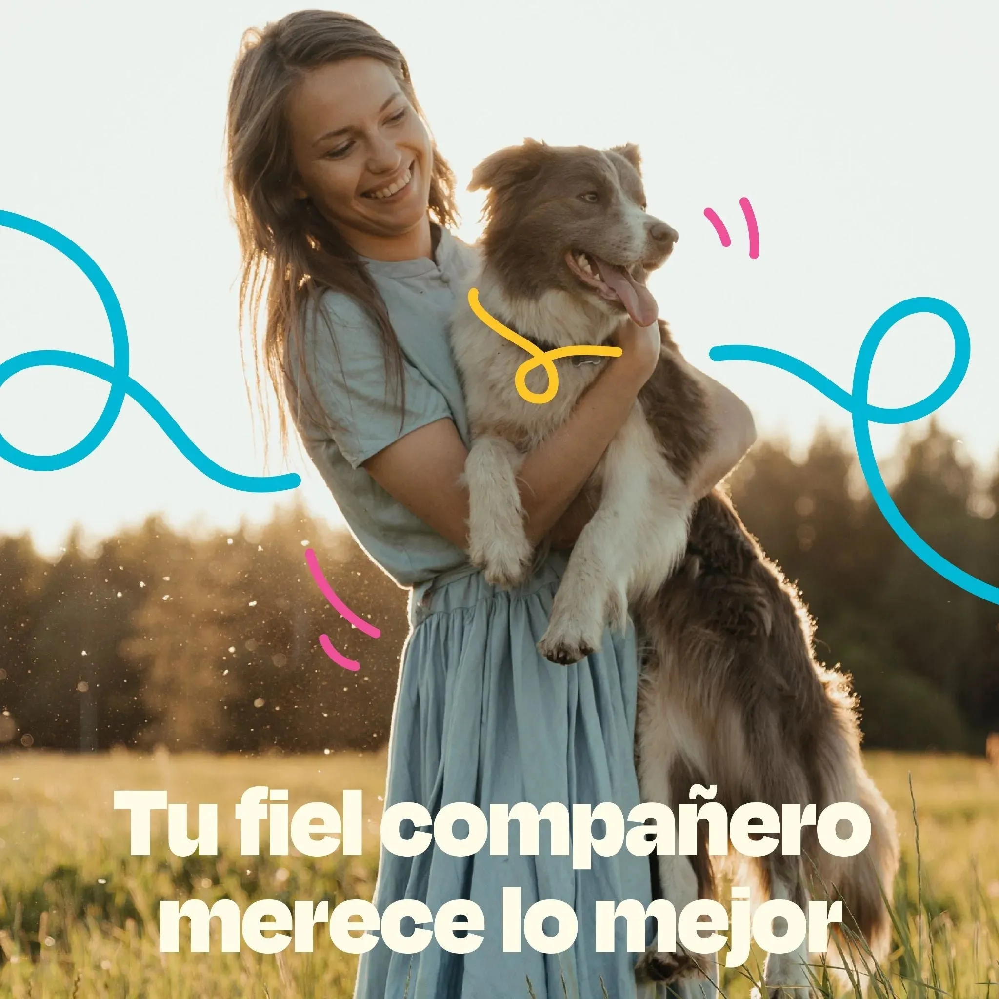 Kit del Perro Sano - Ultimate Wellness Kit - Image 21