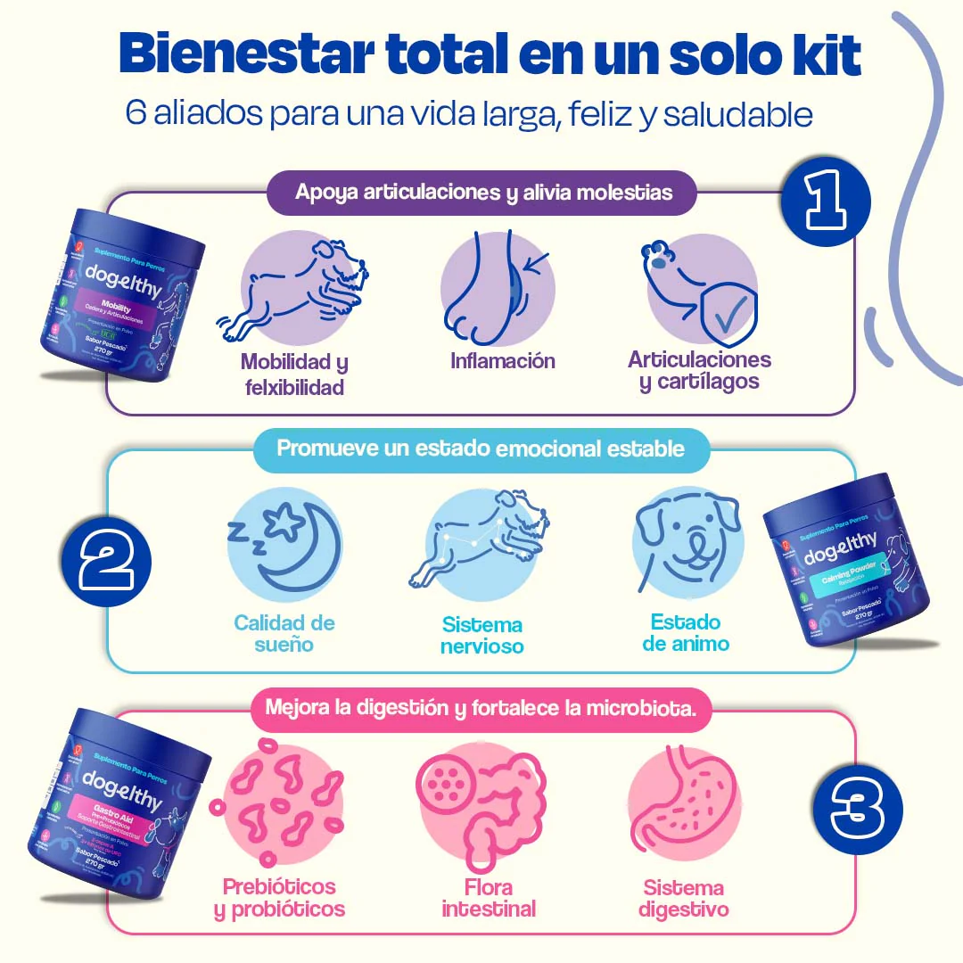 Kit del Perro Sano - Ultimate Wellness Kit - Image 4