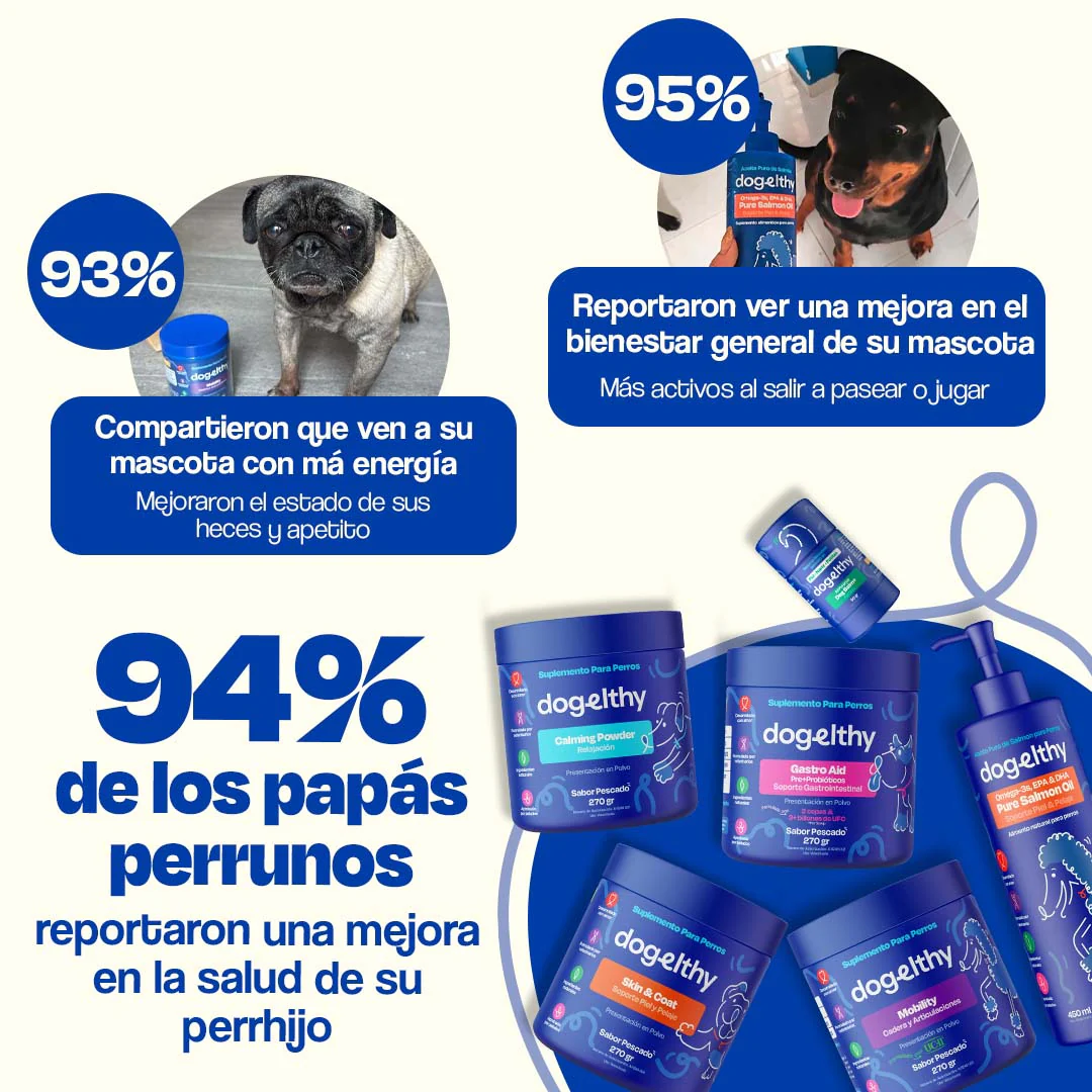 Kit del Perro Sano - Ultimate Wellness Kit - Image 6